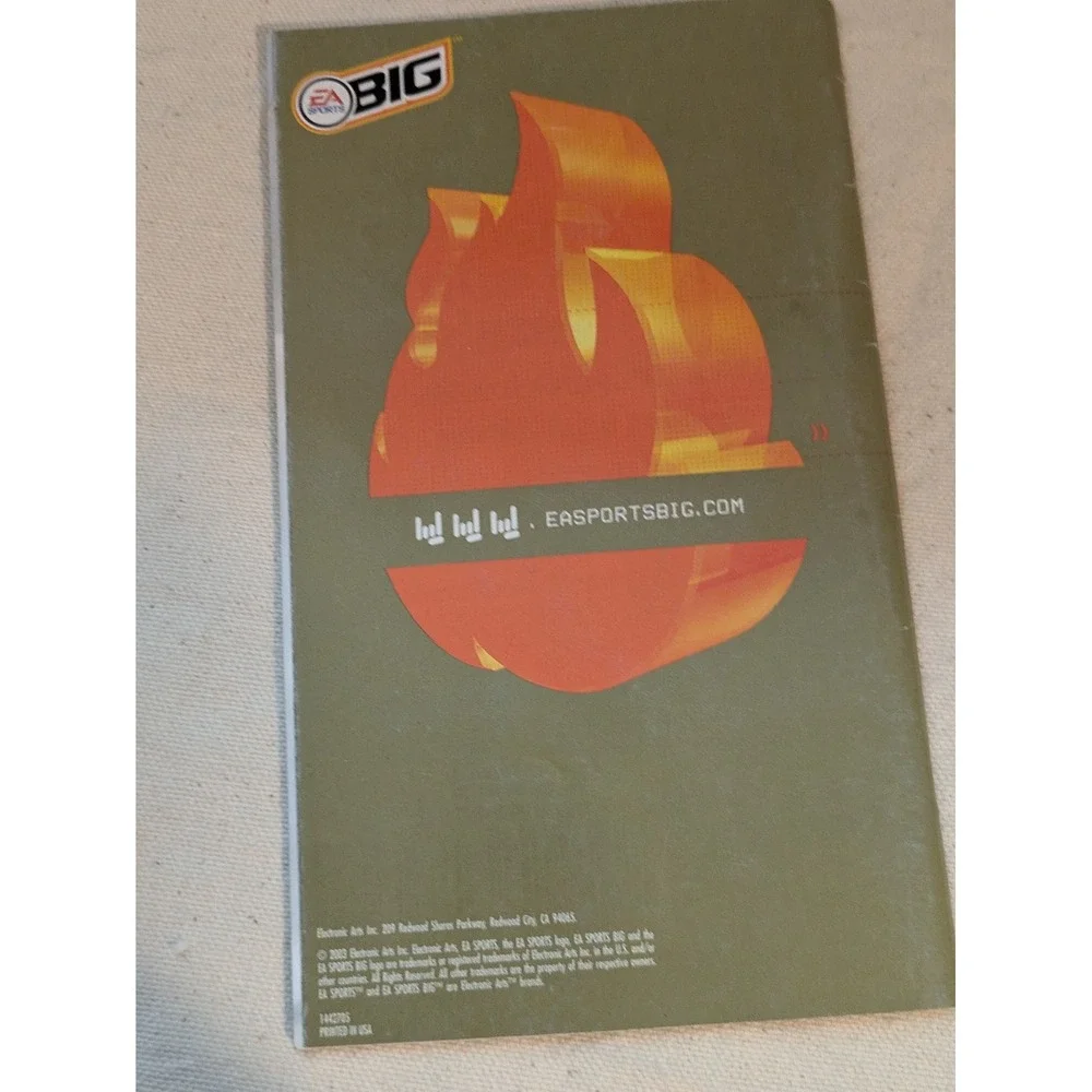 Def Jam Vendetta Nintendo GameCube Instruction Manual Only EA Sports BIG DMX